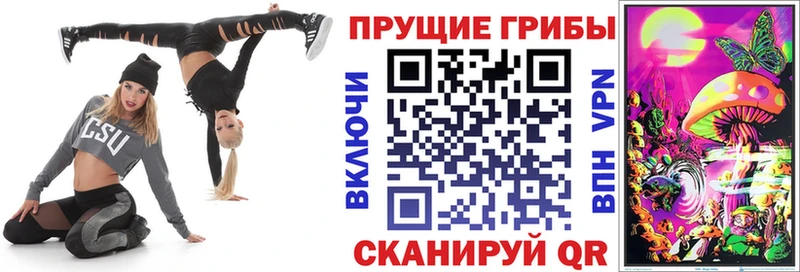 продажа наркотиков  Кашин  Галлюциногенные грибы Psilocybine cubensis 